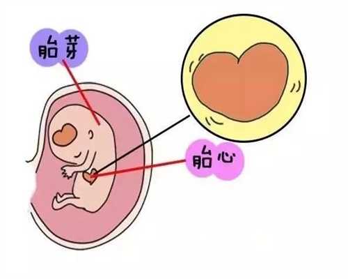 上海新希望供卵代孕网：早早孕试纸代孕多久可