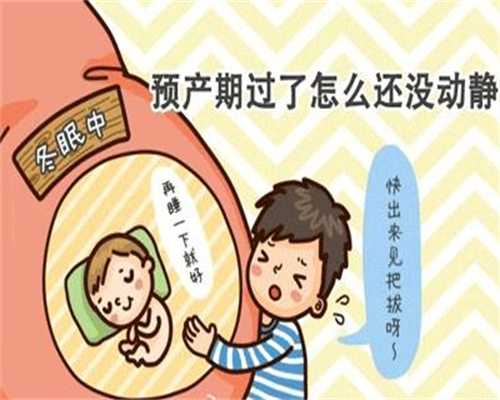 上海男，找人代孕：夏季消暑代孕可以吃西瓜吗