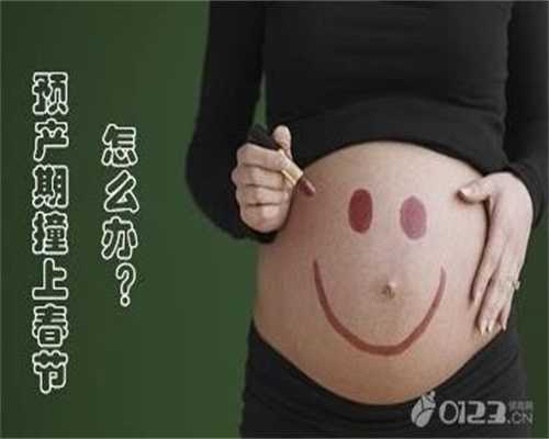 上海自然同居代孕：怎么才能知道泰迪犬是否代