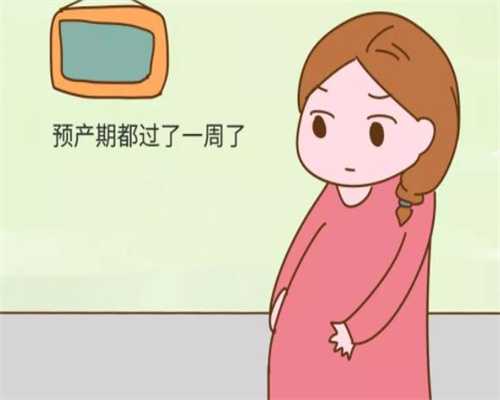 上海代孕吕进峰公司：代孕妈妈们吃高丽参有什