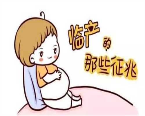 上海中六能供卵吗：代孕40天左右，吃不下饭，总