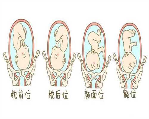 上海代孕公司~上海判断卵巢早衰激素指标~多囊卵