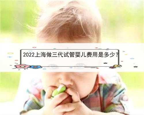 2022上海做三代试管婴儿费