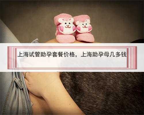 上海试管助孕套餐价格，上海助孕母几多钱