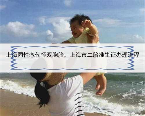上海同性恋代怀双胞胎，上海市二胎准生证办理流程