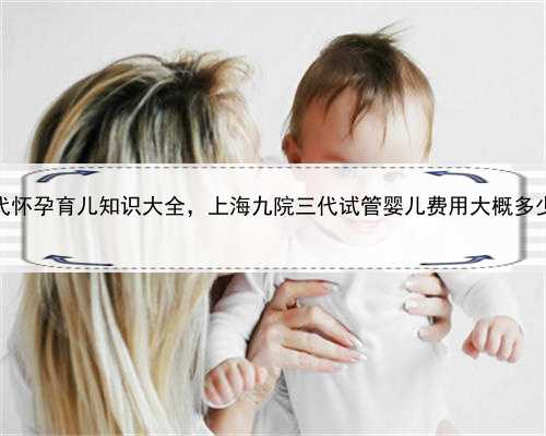 上海代怀孕育儿知识大全，上海九院三代试管婴儿费用大概多少钱？