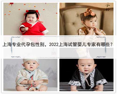 上海专业代孕包性别，2022上海试管婴儿专家有哪些？