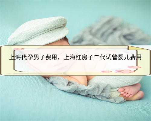上海代孕男子费用，上海红房子二代试管婴儿费用