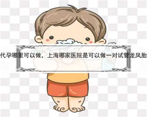 上海代孕哪里可以做，上海哪家医院是可以做一对试管龙凤胎的啊