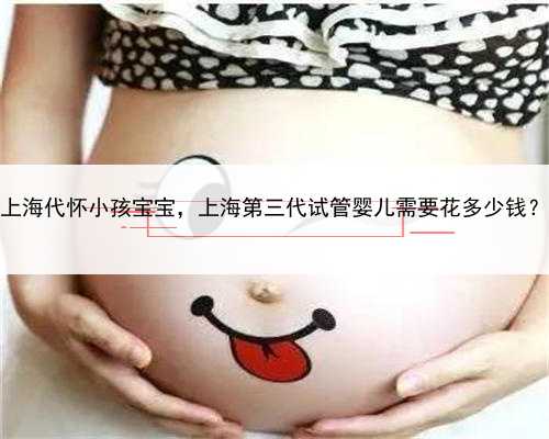 上海代怀小孩宝宝，上海第三代试管婴儿需要花多少钱？
