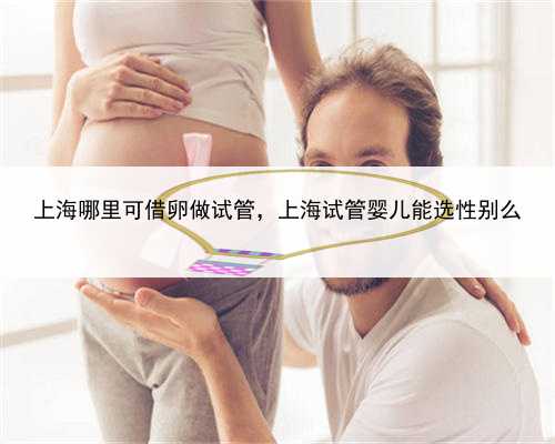 上海哪里可借卵做试管，上海试管婴儿能选性别么