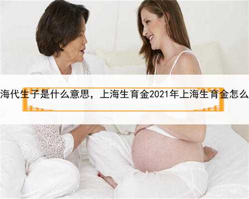 上海代生子是什么意思，上海生育金2021年上海生育金怎么算