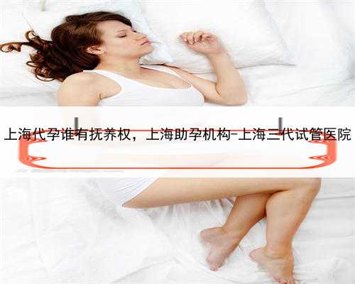 上海代孕谁有抚养权，上海助孕机构-上海三代试管医院