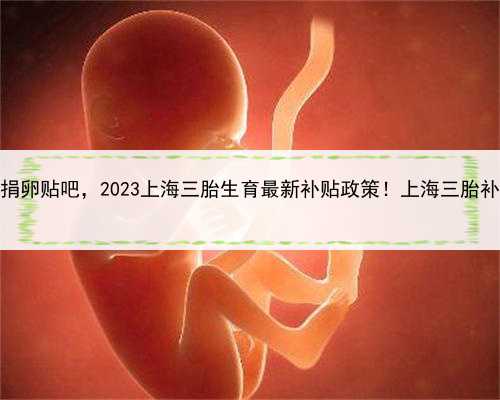 上海有偿捐卵贴吧，2023上海三胎生育最新补贴政策！上海三胎补贴多少？